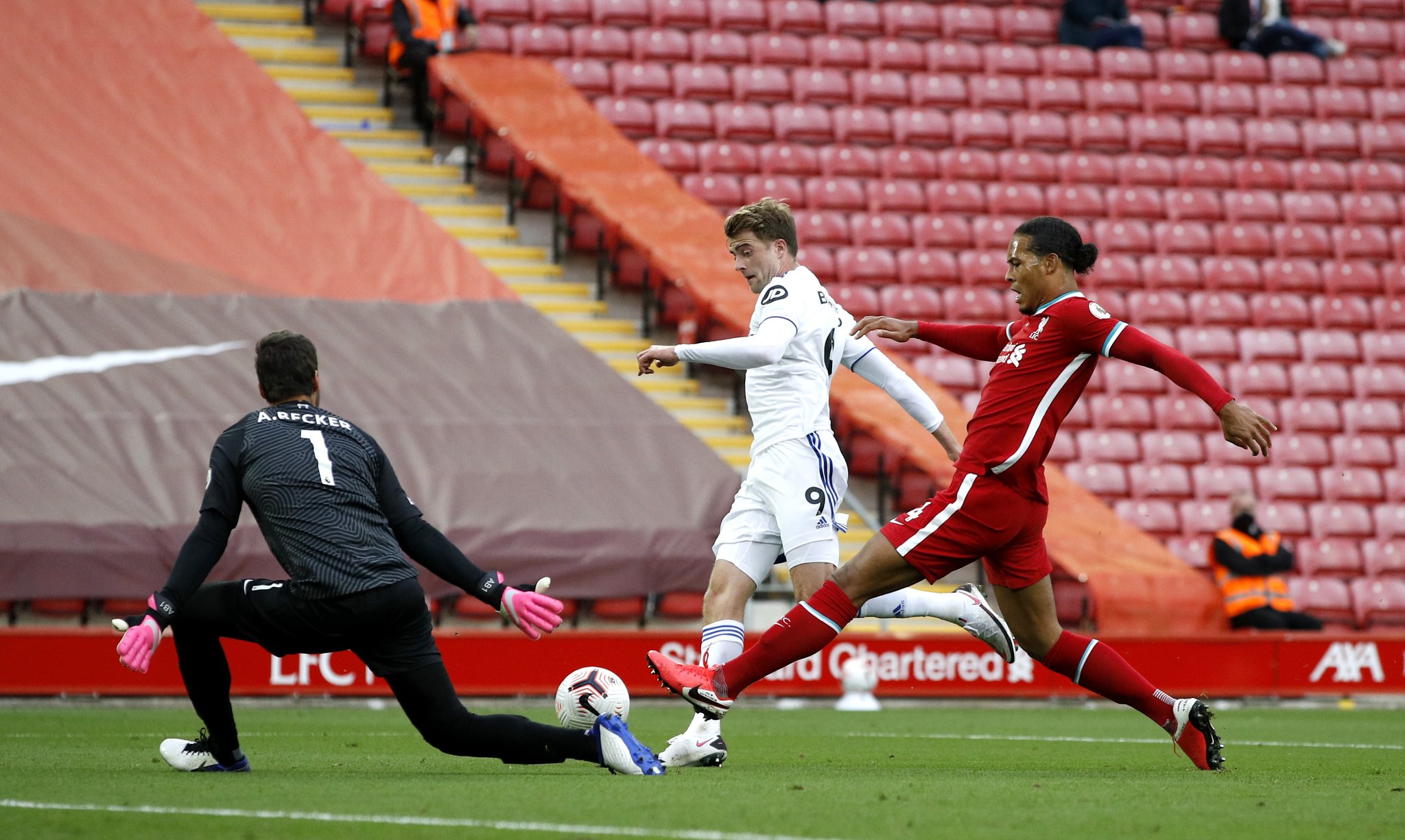 可能是一种 可能是一种