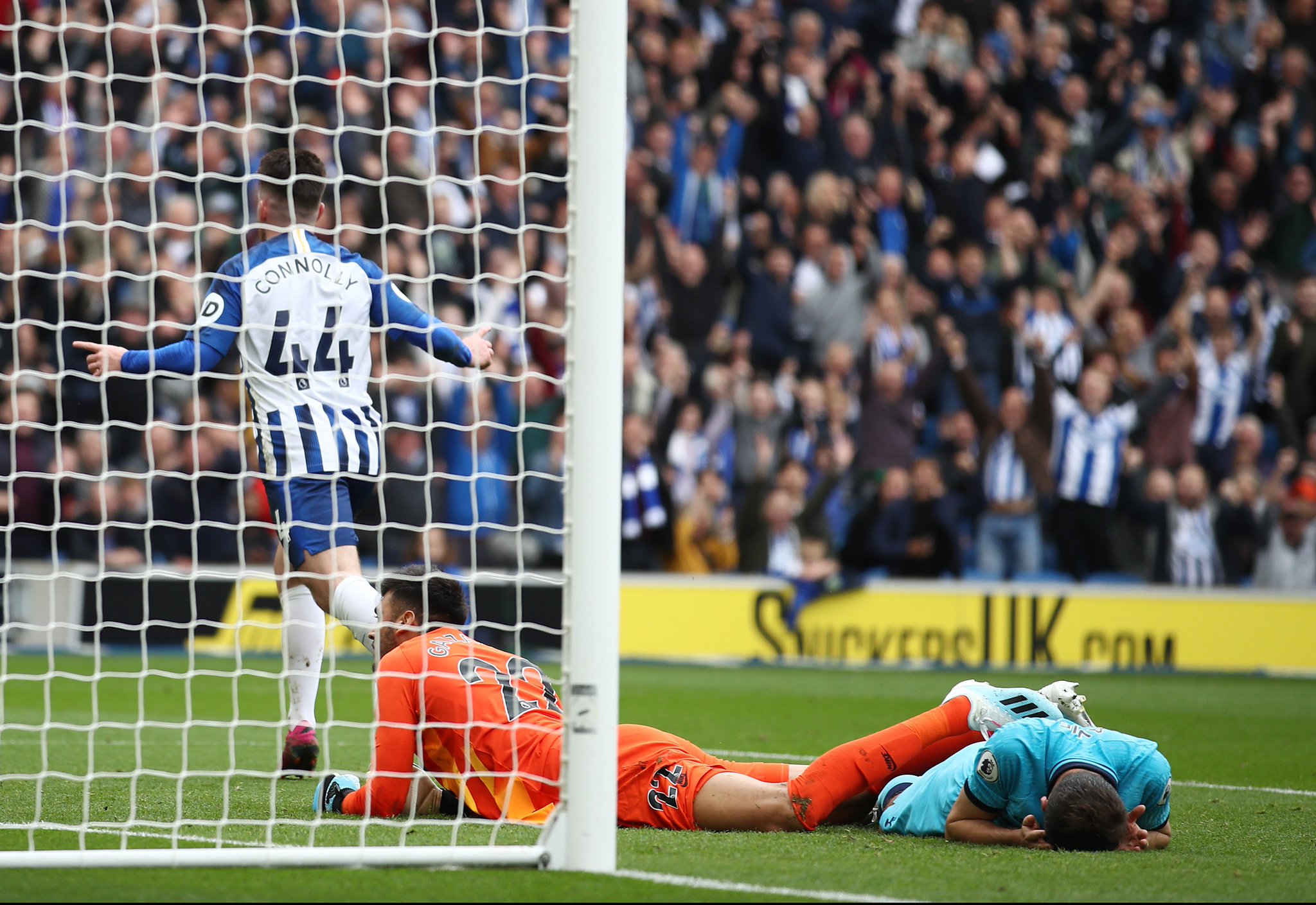 提供了坚实 提供了坚实